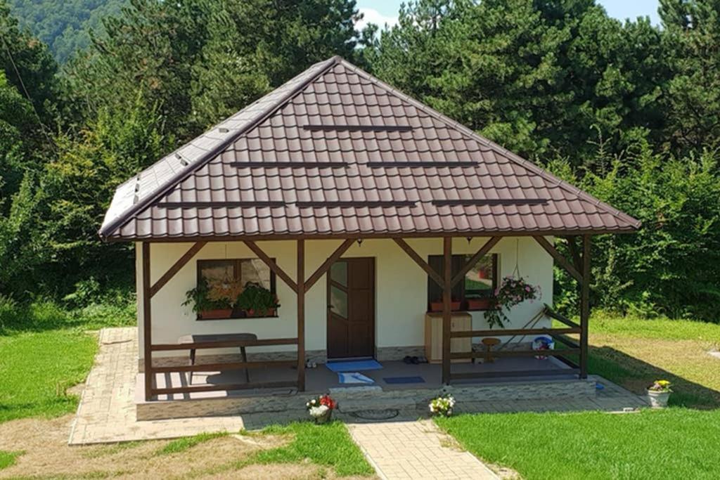 Limpedea Green House Baia Mare Ngoại thất bức ảnh