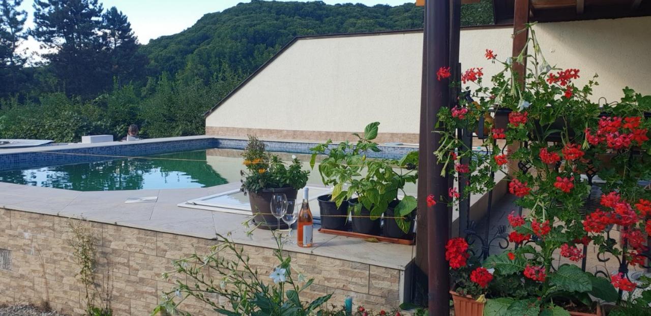 Limpedea Green House Baia Mare Ngoại thất bức ảnh